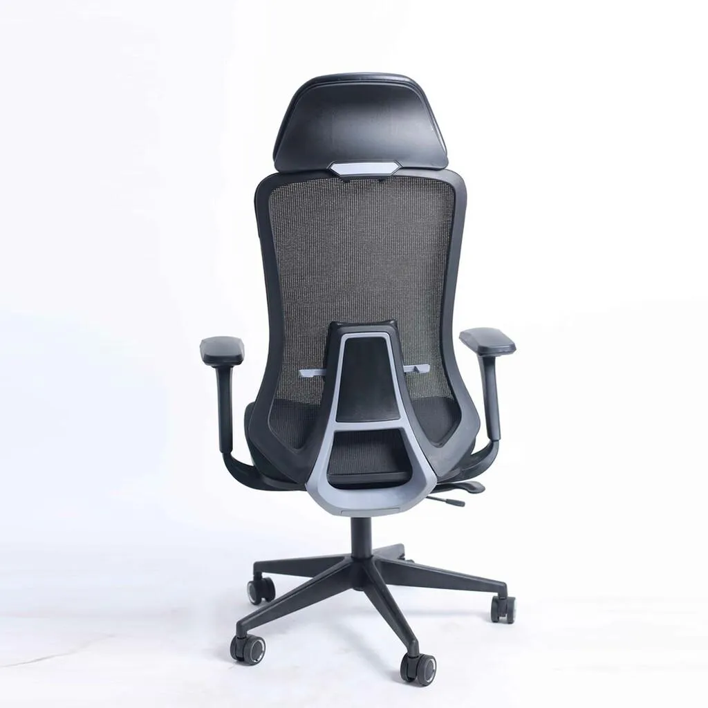 OffheMan FIDO High Back Ergonomic Office Chair -  Black