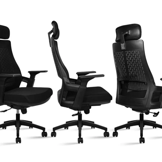 OffheMan 20-20 High Back Ergonomic Office Chair -  Black