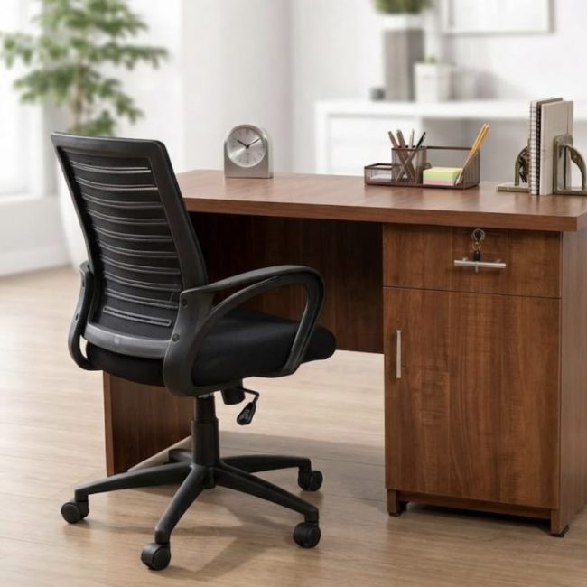 Focused Study Setup – Scholar | Advanced Study Table & Chair with Organizer | Class 6–8 (Age 10–13)